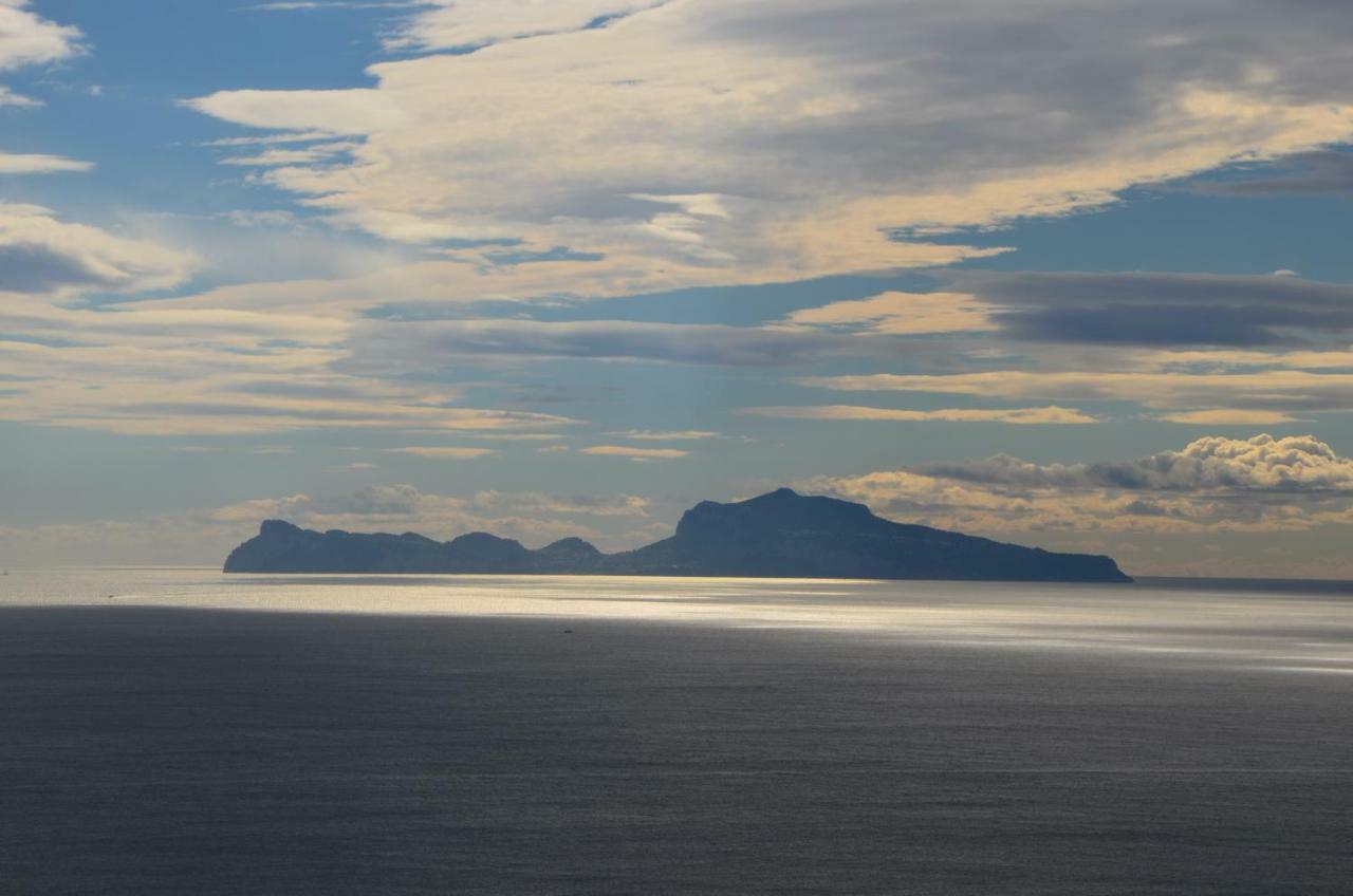 Appartamento Panoramico "Il Glicine" Napoli Dış mekan fotoğraf